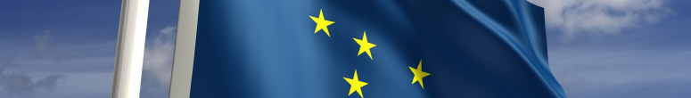 Alaska state flag