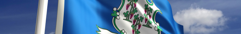 Connecticut state flag