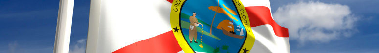 Florida state flag