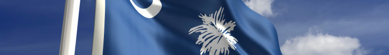 South Carolina state flag