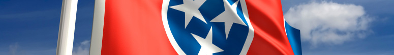 Tennessee state flag