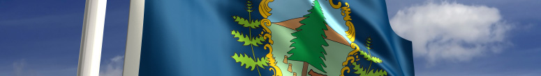 Vermont state flag