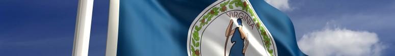 Virginia state flag